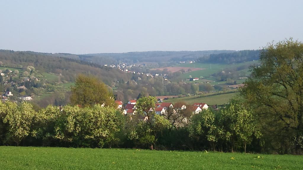 Gasthof Und Pension Frankenthal - Garni Hotel Gera Bagian luar foto