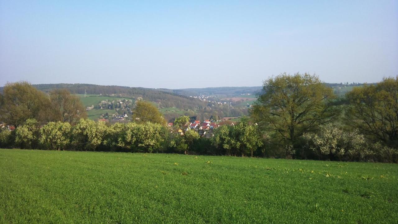 Gasthof Und Pension Frankenthal - Garni Hotel Gera Bagian luar foto