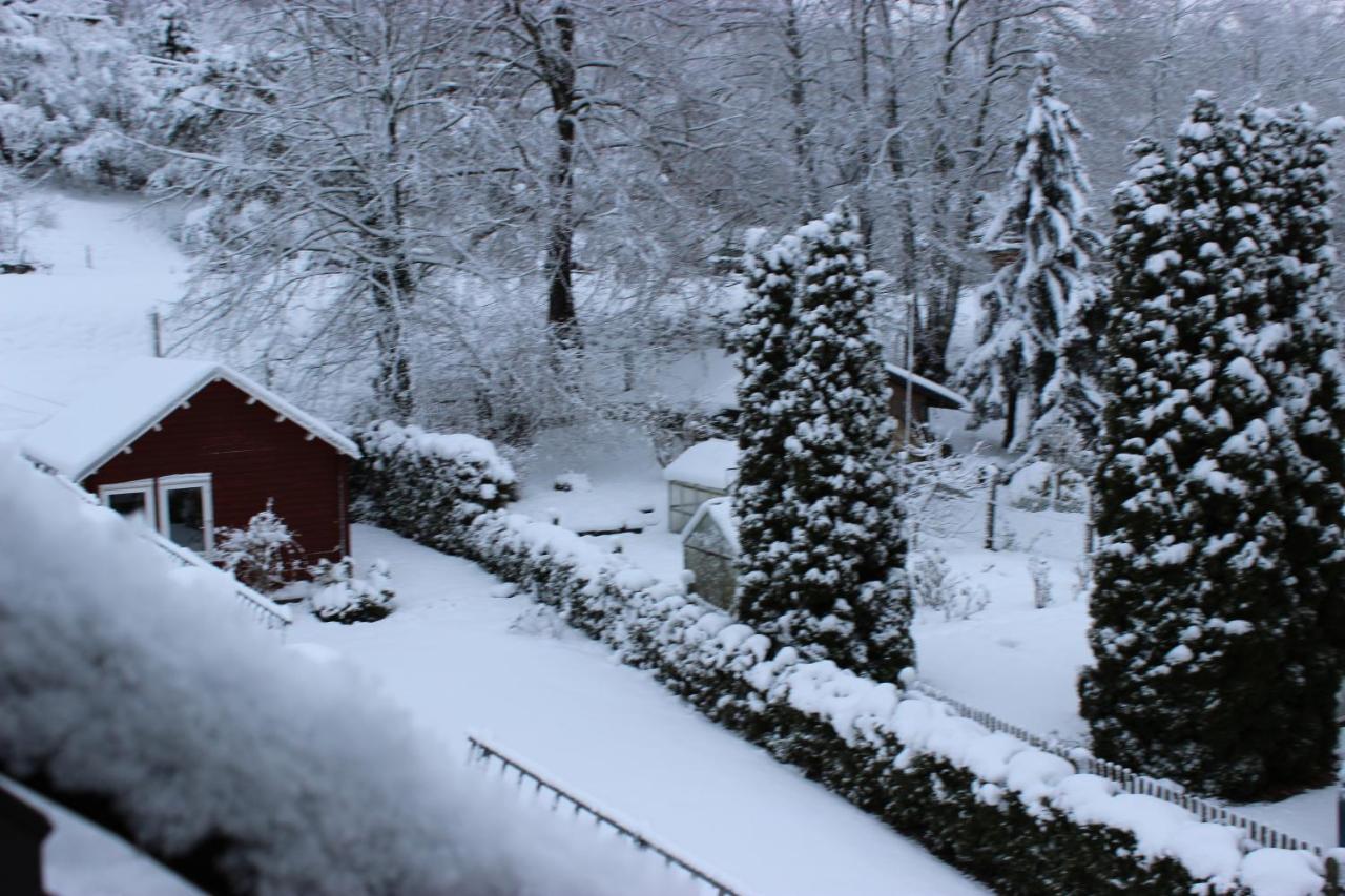 Gasthof Und Pension Frankenthal - Garni Hotel Gera Bagian luar foto